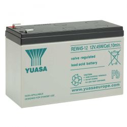 Yuasa REW45-12 Lead Acid Battery - 12V 45W